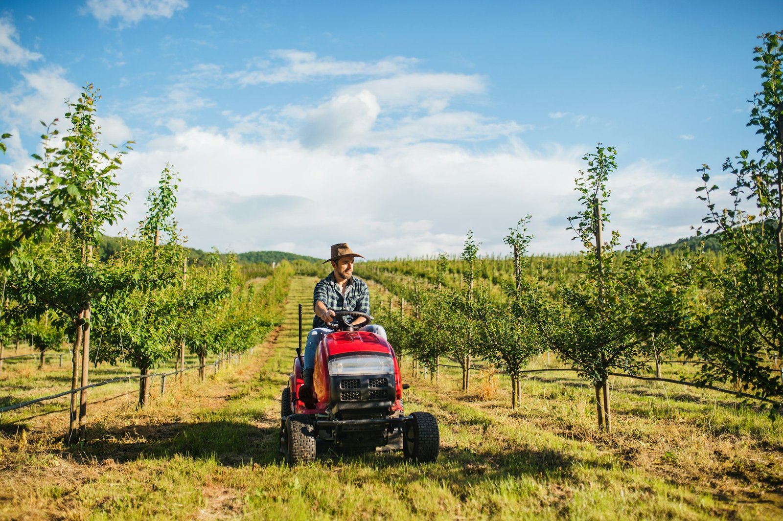 A mature farmer driving mini tractor outdoors in orchard